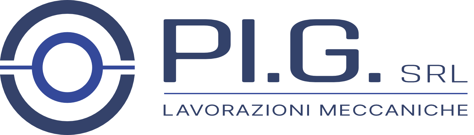 PI.G. SRL